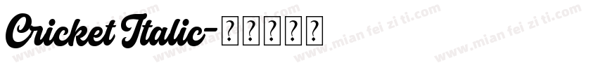 Cricket Italic字体转换